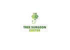 Tree Surgeon Exeter